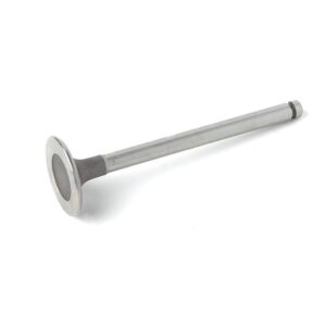 RVE79599T Exhaust Valve Audi, Vw